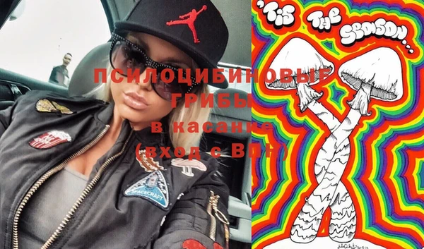 сатива Вязники